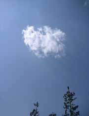 c0042319_9264669.jpg