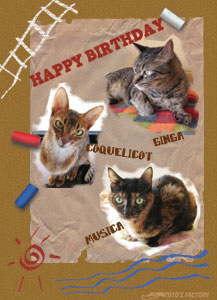 HAPPY BIRTHDAY 3Cats !!_a0034287_2211669.jpg