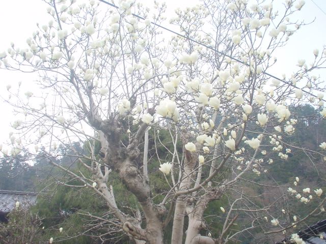 c0037400_16403133.jpg