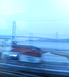 見にくいですが…_c0049950_18324791.jpg