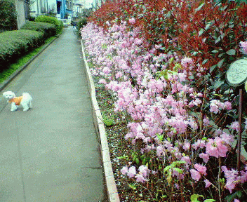 d0000559_2142893.gif