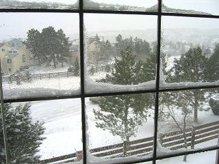 b0034565_083498.jpg