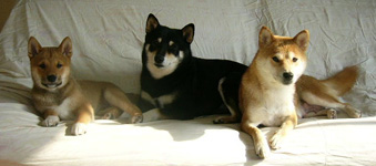 b0057675_9555763.jpg