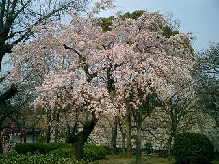 b0050787_22291817.jpg