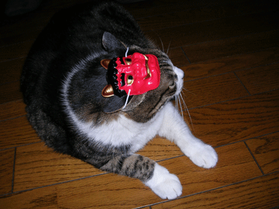 b0011345_1626917.gif