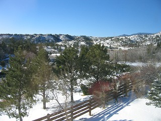 b0034565_094023.jpg