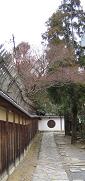 b0043525_1639980.jpg