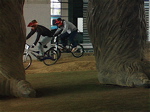 4月JOSF川口ゴリラ公園定期戦_b0065730_1854557.jpg