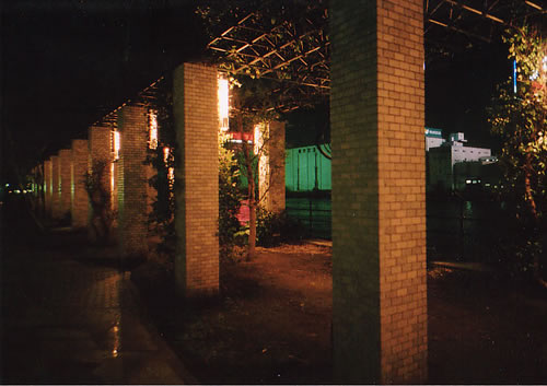 NATURAモニターレポート_b0016049_37241.jpg