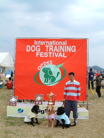 c0017311_8232458.jpg