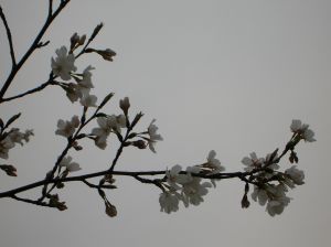 b0070427_2162537.jpg