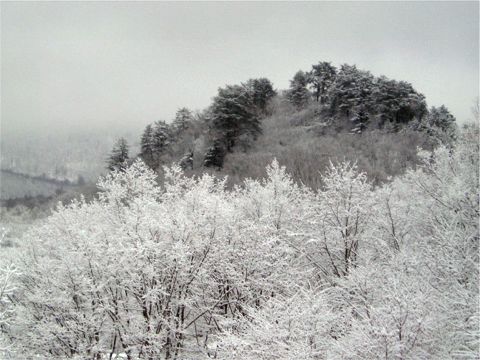 d0012134_1250988.jpg