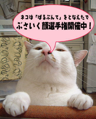 第2回可愛い☆ぶさいく顔選手権やってますよ!_a0028451_21383489.jpg