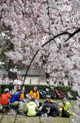 京都シティライド　速報です！_c0047856_0311338.jpg