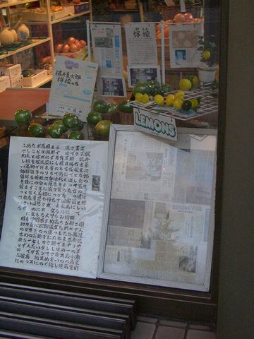 c0024552_1659563.jpg