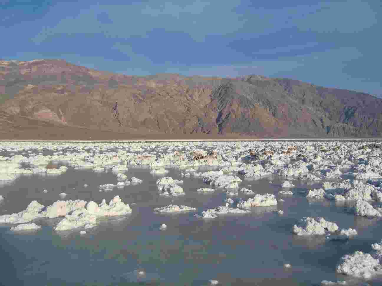 Death Valley_b0033458_0413664.jpg