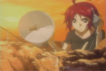 a0008459_027433.gif