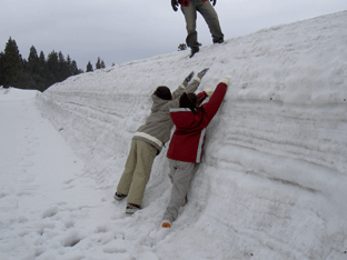 b0065499_1113137.gif
