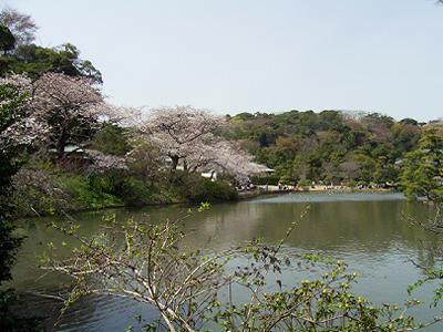 暖かな一日_c0051105_23434370.jpg