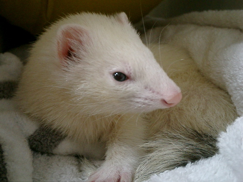 a0010836_96098.jpg