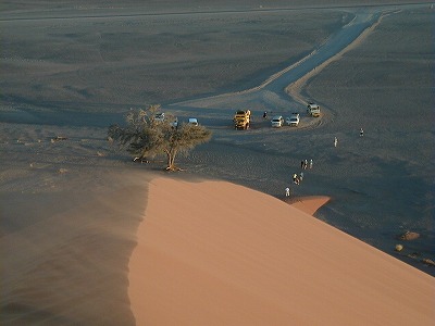 d0005397_2373866.jpg