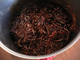 b0044528_0322887.jpg