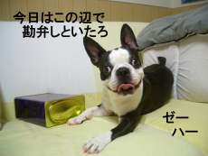 c0035443_0135729.jpg