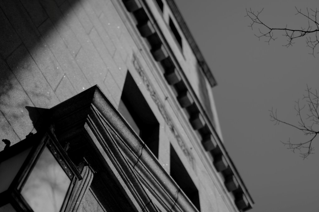 d0001745_22105553.jpg