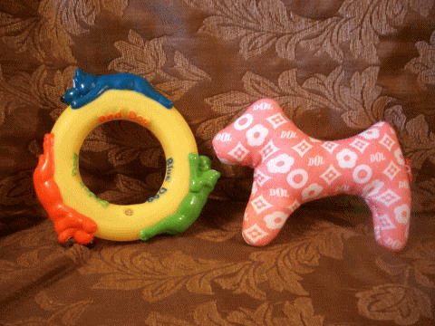 d0000559_21495587.gif