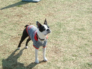 初の遠出！！　～アンデルセン公園へ～_d0021462_10591884.jpg