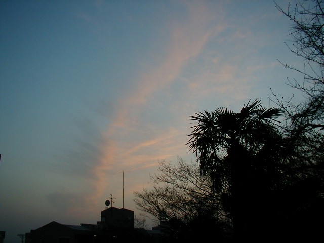 夕空_a0005667_5494179.jpg