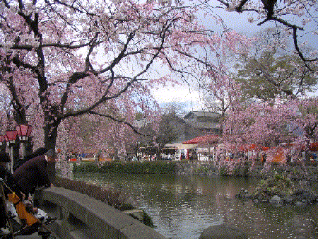 c0067077_11165776.gif