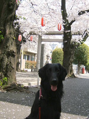 c0050400_2104890.jpg