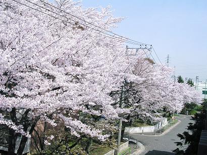 a0009005_1030373.jpg