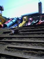 ＊やっぱり帰りは目黒川＊　　2005,4,8_a0030038_18261140.jpg