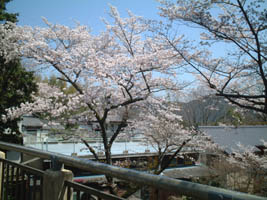 c0074553_16291732.jpg