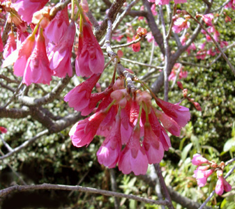 a0001354_2115678.jpg