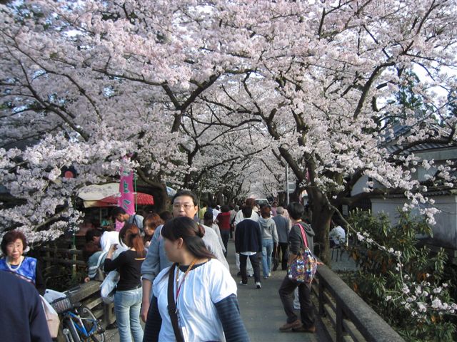 a0027555_1953306.jpg