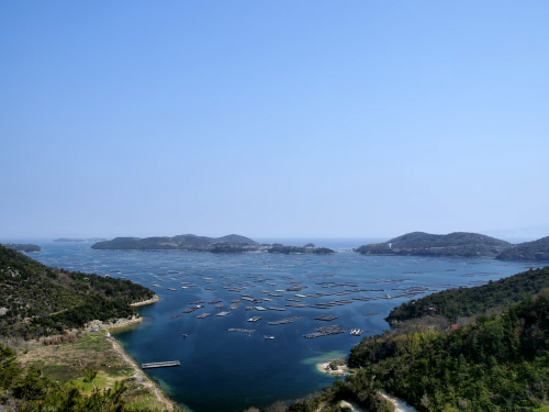 c0050380_16391277.jpg
