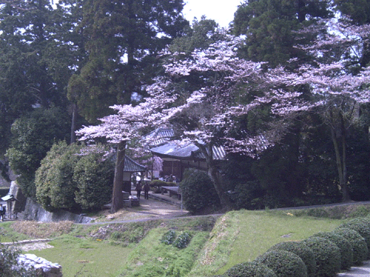 b0011345_0181452.gif
