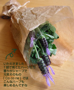 Tさん卒業！_a0017350_1012454.jpg