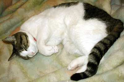 a0001354_20122196.jpg