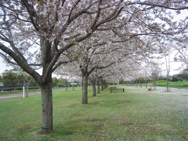 a0027555_17521844.jpg