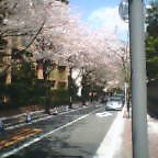 b0038759_21485470.jpg