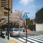 b0038759_21494732.jpg
