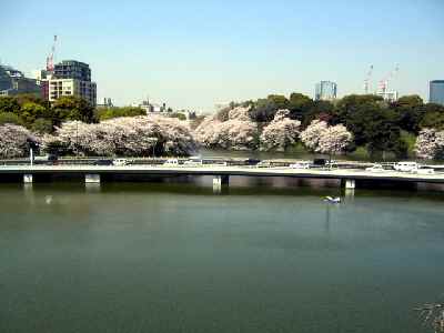c0042960_65561.jpg