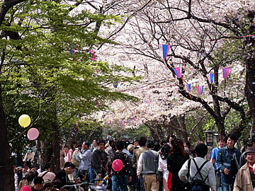 飛鳥山公園 ～ 線路側_b0067565_20564857.jpg