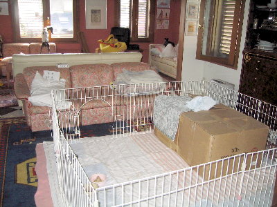 c0059066_22218.jpg