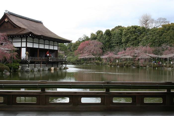 ０５京都桜・ 円山公園 『祇園の夜桜』＆ 平安神宮桜色彩_c0059485_10551087.jpg