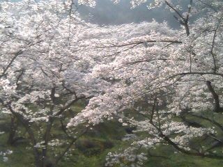 c0032212_6154385.jpg